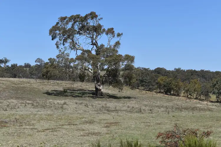 Third view of Homely rural property listing, 26 Richardson Place, Quialigo NSW 2580