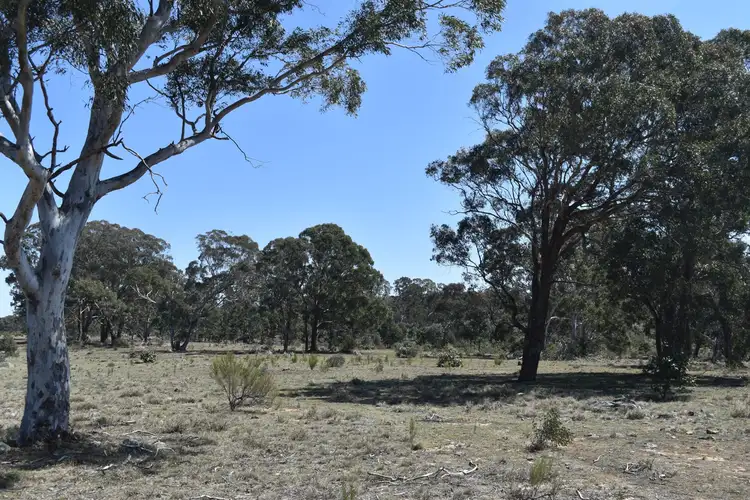 Fifth view of Homely rural property listing, 26 Richardson Place, Quialigo NSW 2580