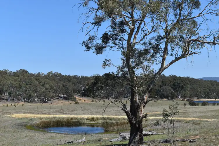 Sixth view of Homely rural property listing, 26 Richardson Place, Quialigo NSW 2580