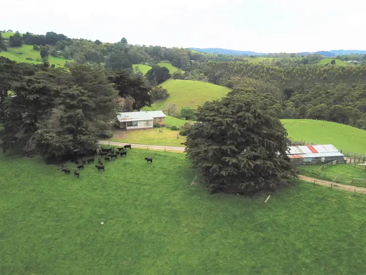 Fifth view of Homely rural property listing, 775 Ameys Track, Foster North VIC 3960