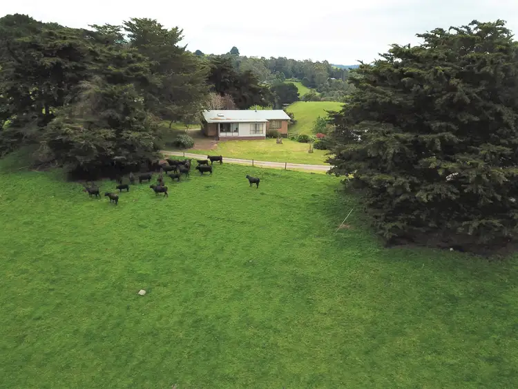 Seventh view of Homely rural property listing, 775 Ameys Track, Foster North VIC 3960