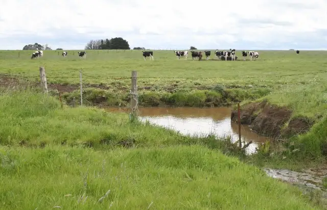Second view of Homely rural property listing, Nine Mile Creek Road, Koroit VIC 3282