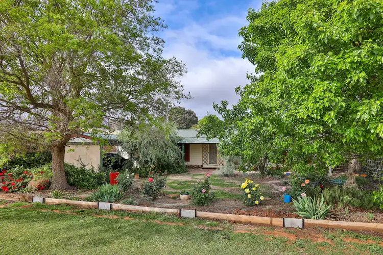 Fifth view of Homely house listing, 65 Wood Street, Gol Gol NSW 2738