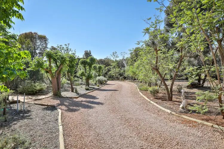 Fifth view of Homely house listing, 1814 Silver City Highway, Dareton NSW 2717