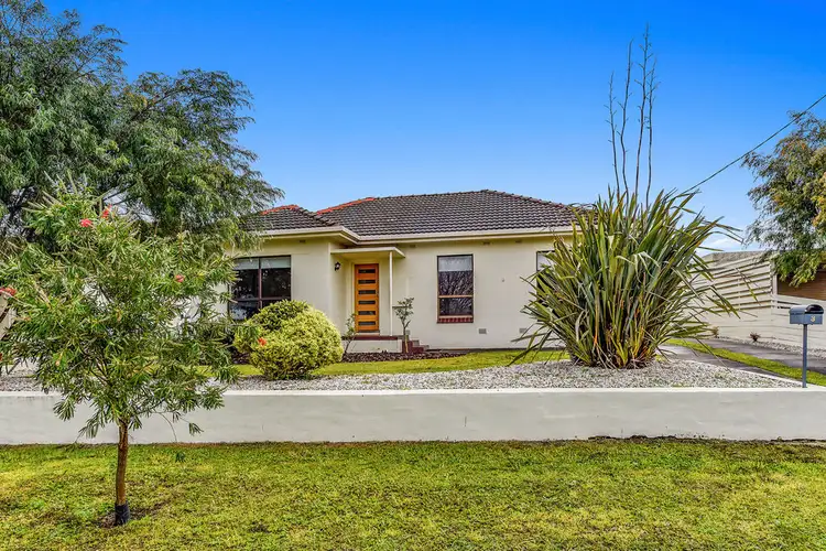 Main view of Homely house listing, 3 Jenkins Street, Mount Gambier SA 5290