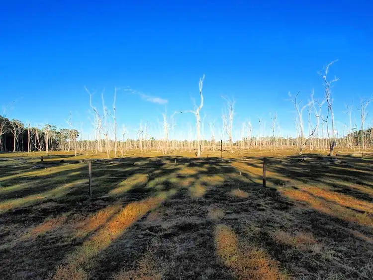 Fifth view of Homely land listing, LOT 1&2, 20 BILSBOROUGH RD, Pacific Haven QLD 4659