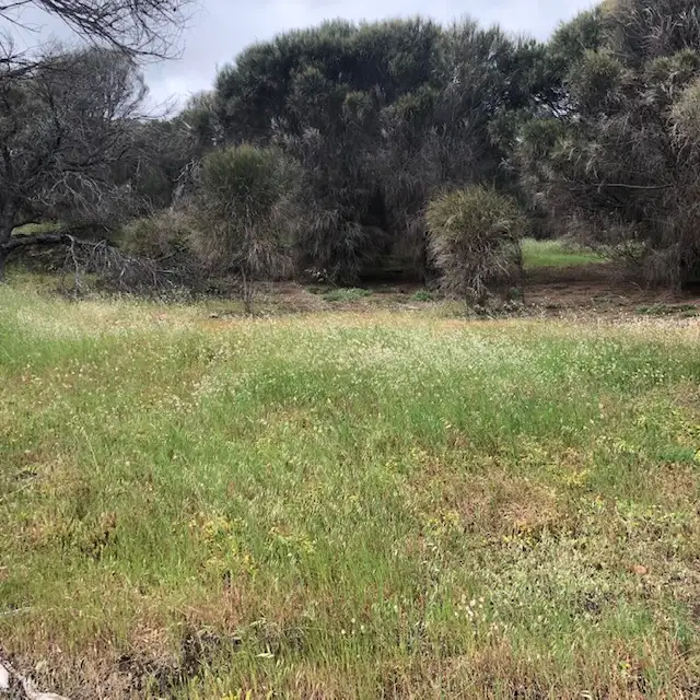 Main view of Homely land listing, LOT 165 Binneys Track, Penneshaw SA 5222