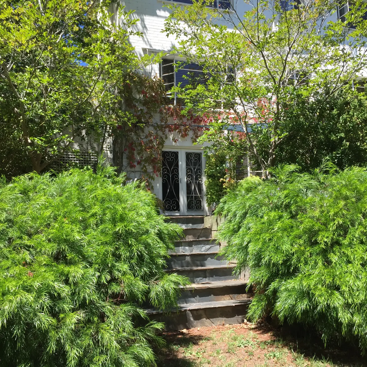 Main view of Homely house listing, 14 Leggatt Street, Daylesford VIC 3460
