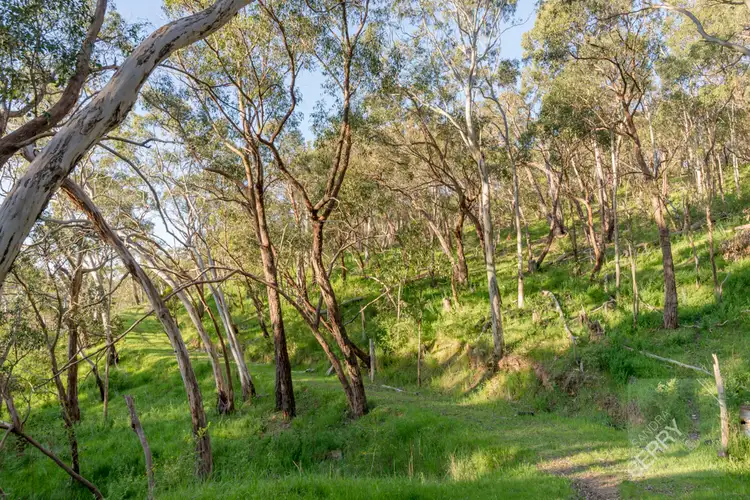 Third view of Homely land listing, 265 SHEOAK ROAD, Crafers West SA 5152