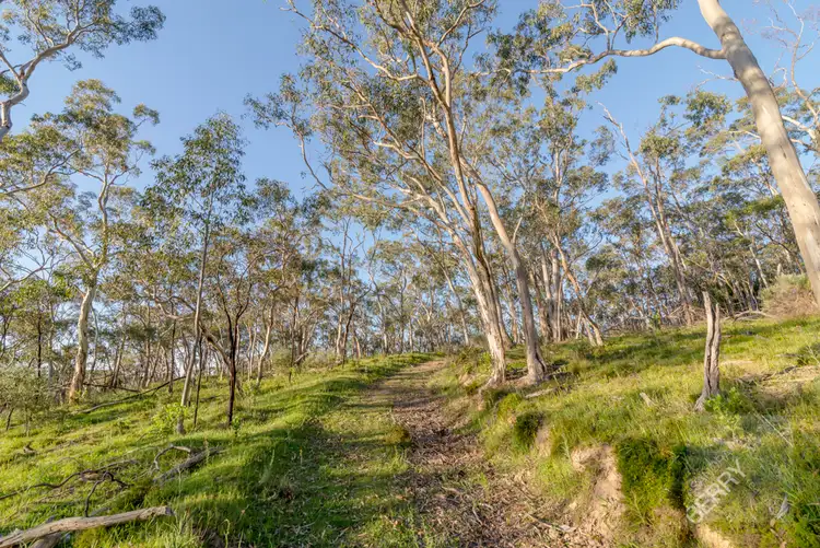Fourth view of Homely land listing, 265 SHEOAK ROAD, Crafers West SA 5152