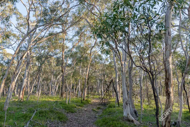 Sixth view of Homely land listing, 265 SHEOAK ROAD, Crafers West SA 5152