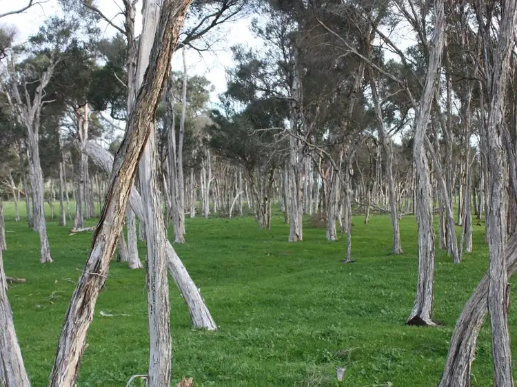 Third view of Homely rural property listing, 1590 Bass Highway, Grantville VIC 3984