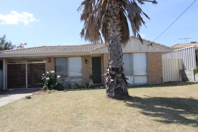 Main view of Homely house listing, 3A Limer Place, Parmelia WA 6167