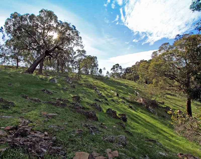 Main view of Homely land listing, 15 Vaughans Lane, Heathcote VIC 3523
