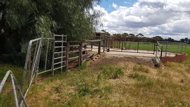 Fourth view of Homely rural property listing, 1336 Scobie Road, Tongala VIC 3621