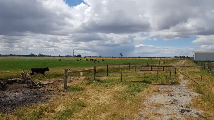 Sixth view of Homely rural property listing, 1336 Scobie Road, Tongala VIC 3621