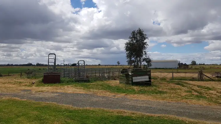 Seventh view of Homely rural property listing, 1336 Scobie Road, Tongala VIC 3621