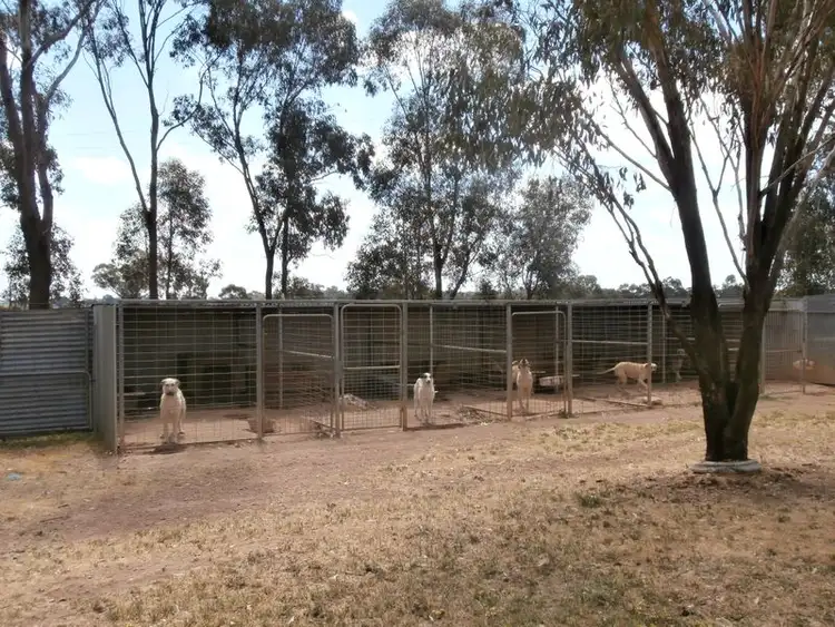 Fifth view of Homely rural property listing, 169 Scotts Road, Neilborough VIC 3570