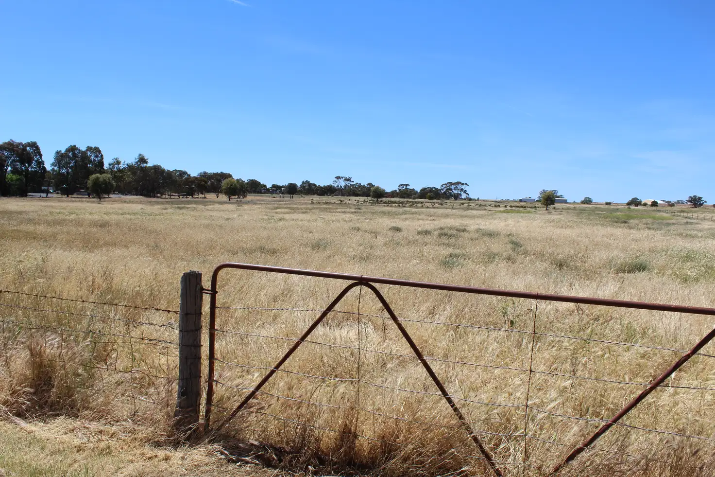 Main view of Homely land listing, 20 Madden Street, Nhill VIC 3418