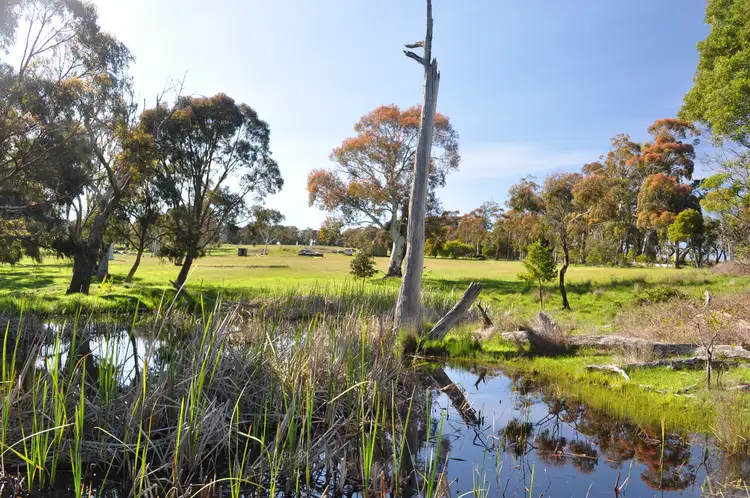 Fifth view of Homely land listing, 875 Tabletop Road, Tolmie VIC 3723
