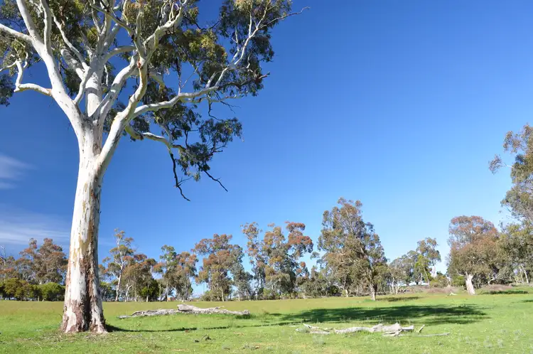 Seventh view of Homely land listing, 875 Tabletop Road, Tolmie VIC 3723