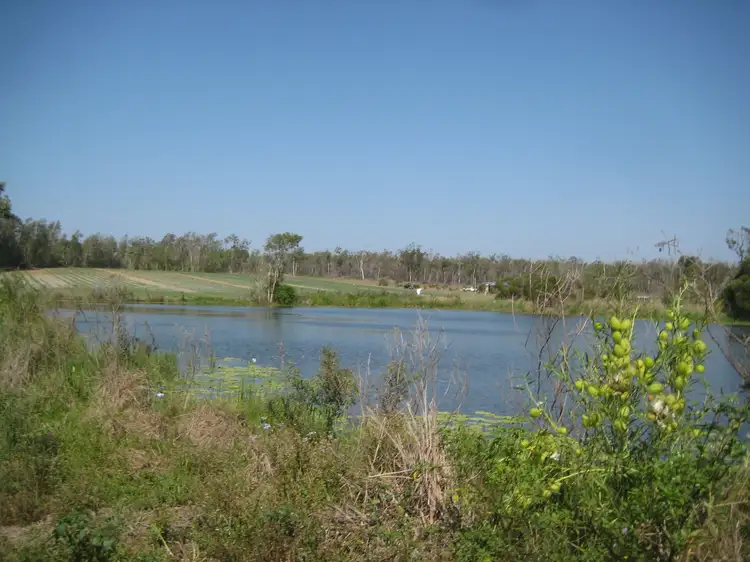 Main view of Homely rural property listing, 246 Heales Road, Meadowvale QLD 4670