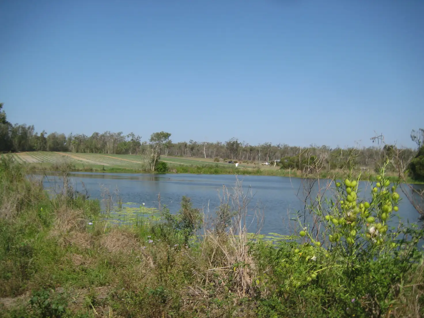 Main view of Homely rural property listing, 246 Heales Road, Meadowvale QLD 4670