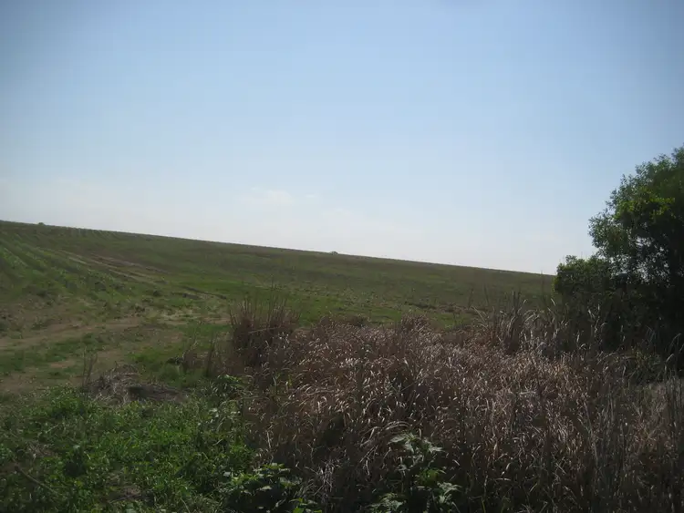 Second view of Homely rural property listing, 246 Heales Road, Meadowvale QLD 4670