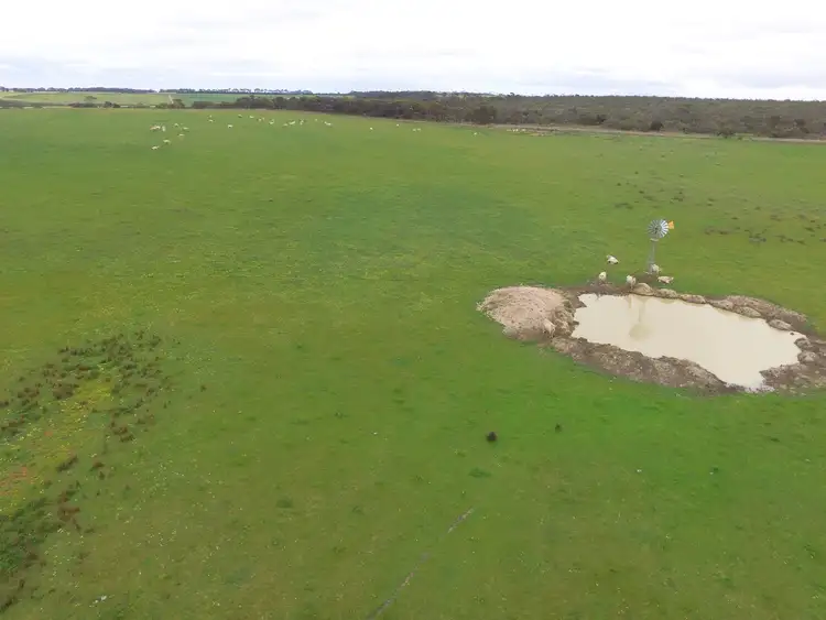 Fifth view of Homely rural property listing, 74 Murray Road, Dalyup WA 6450