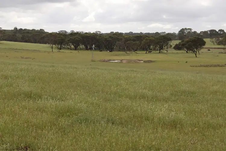 Seventh view of Homely rural property listing, 74 Murray Road, Dalyup WA 6450