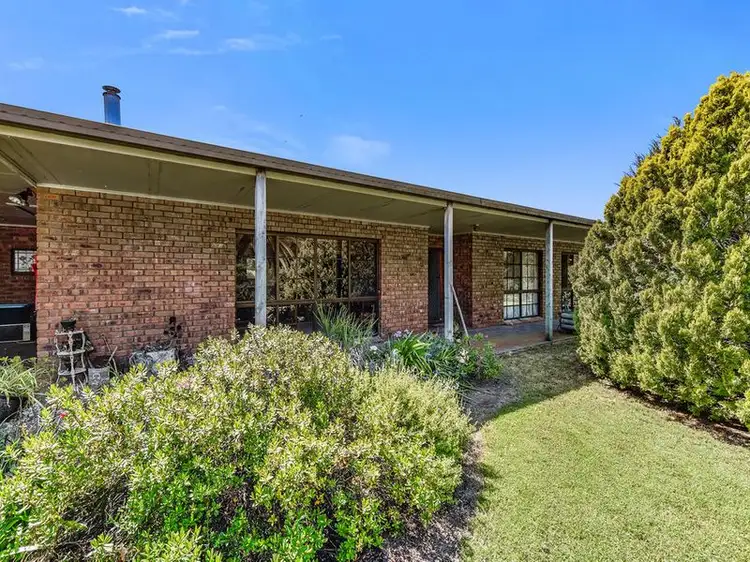 41 Agricultural Bureau Drive, Millicent SA 5280