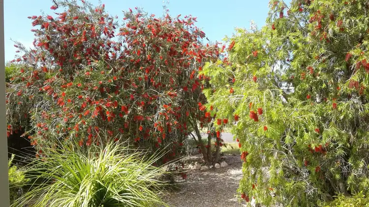 Third view of Homely house listing, 3 Grandview Drive, Clayton Bay SA 5256