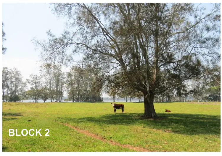 Second view of Homely land listing, 1599 Manning Point Road, Mitchells Island NSW 2430