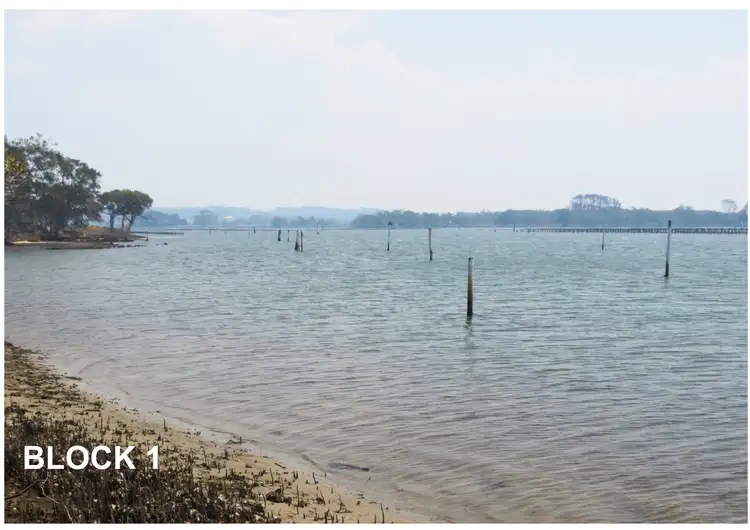 Third view of Homely land listing, 1617 Manning Point Road, Mitchells Island NSW 2430