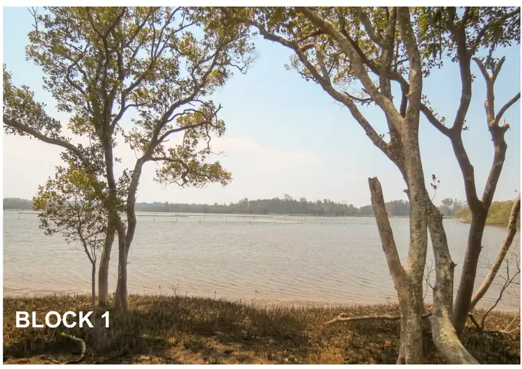 Seventh view of Homely land listing, 1617 Manning Point Road, Mitchells Island NSW 2430