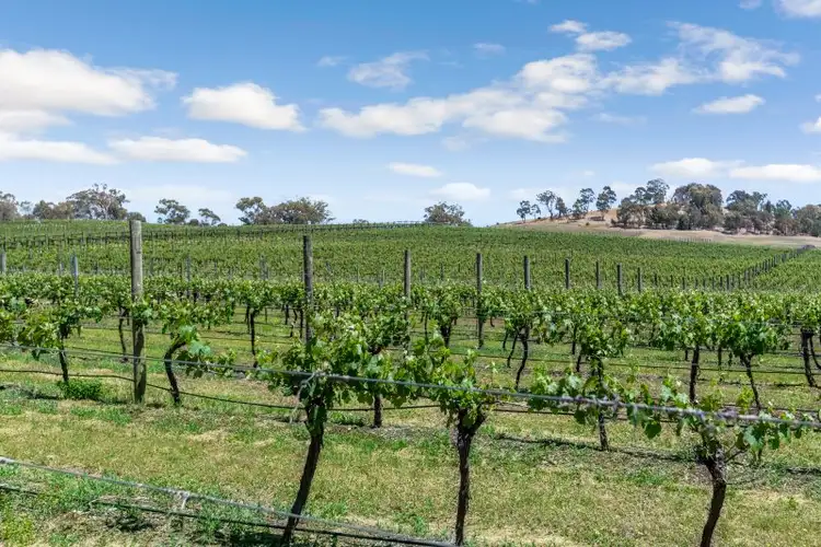 Fourth view of Homely rural property listing, 19 Drummonds Lane, Heathcote VIC 3523