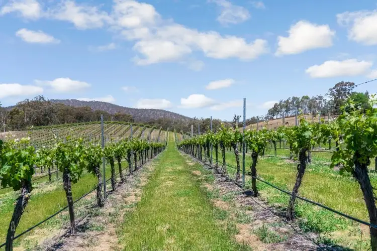 Fifth view of Homely rural property listing, 19 Drummonds Lane, Heathcote VIC 3523
