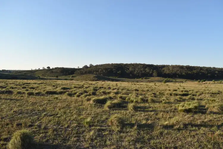 Seventh view of Homely rural property listing, 454 Miller Road, Windellama NSW 2580