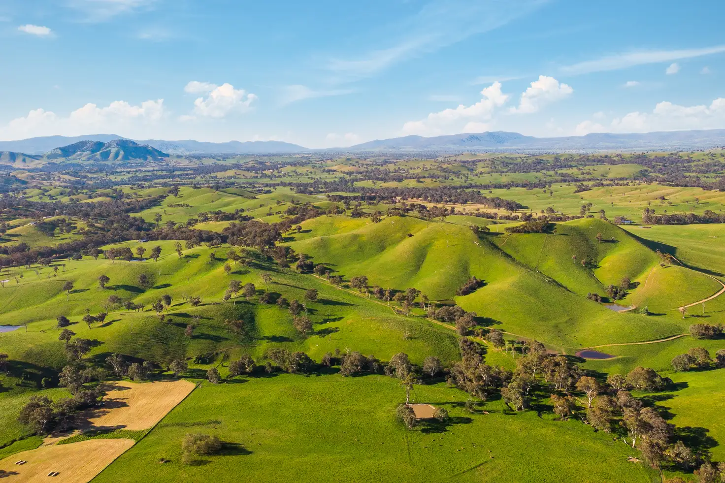 Main view of Homely rural property listing, 1231 Howes Creek Road, Mansfield VIC 3722