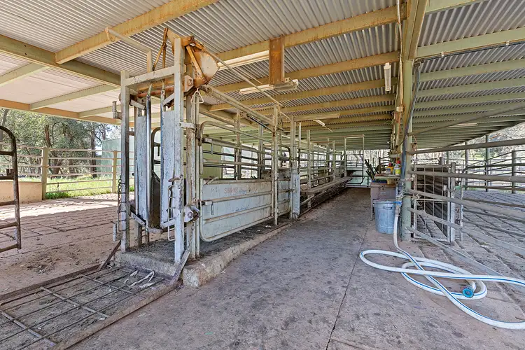 Seventh view of Homely rural property listing, 1231 Howes Creek Road, Mansfield VIC 3722