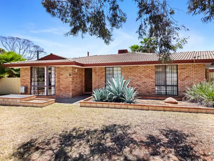 19 Flanagan Parade, Hannans WA 6430