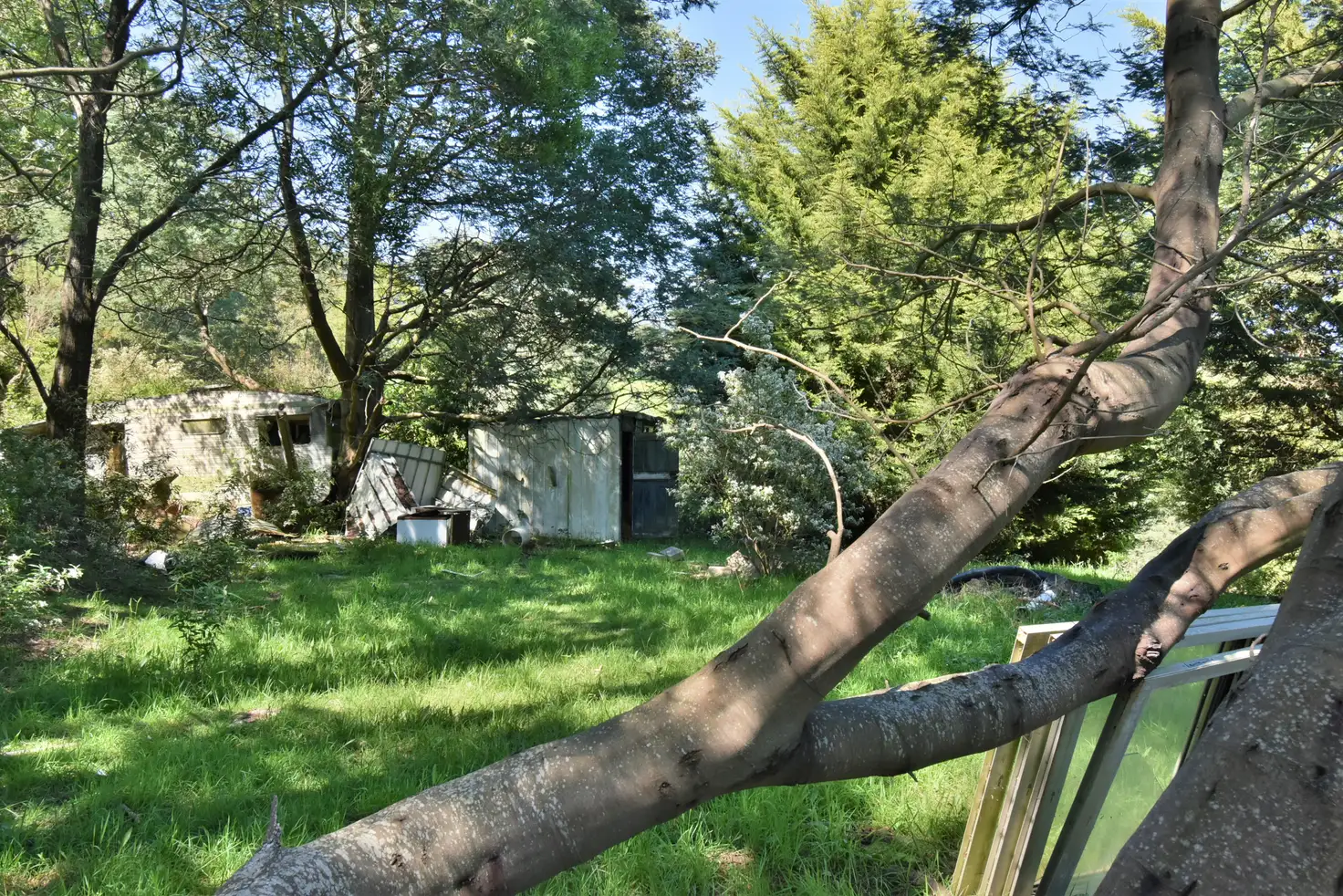 Main view of Homely rural property listing, 375 Mccartins Road, Turtons Creek VIC 3960