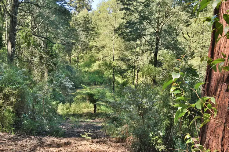Third view of Homely rural property listing, 375 Mccartins Road, Turtons Creek VIC 3960