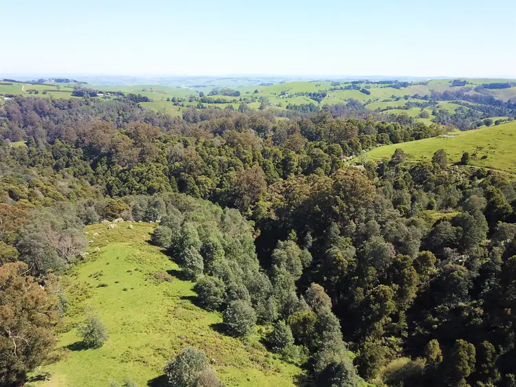 Fifth view of Homely rural property listing, 375 Mccartins Road, Turtons Creek VIC 3960