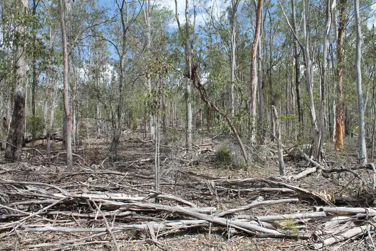 Second view of Homely rural property listing, 1210 Old Esk Road, Taromeo QLD 4314