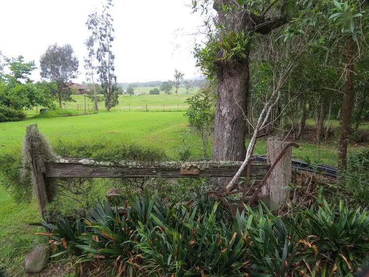 Fourth view of Homely rural property listing, 331 Kimbriki Road, Kimbriki Via, Tinonee NSW 2430