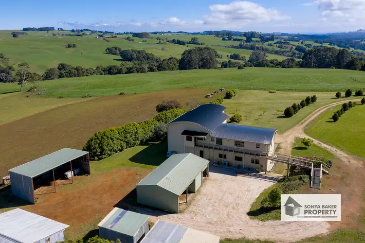 Third view of Homely rural property listing, 60 Shepperds Lane, Elliott TAS 7325