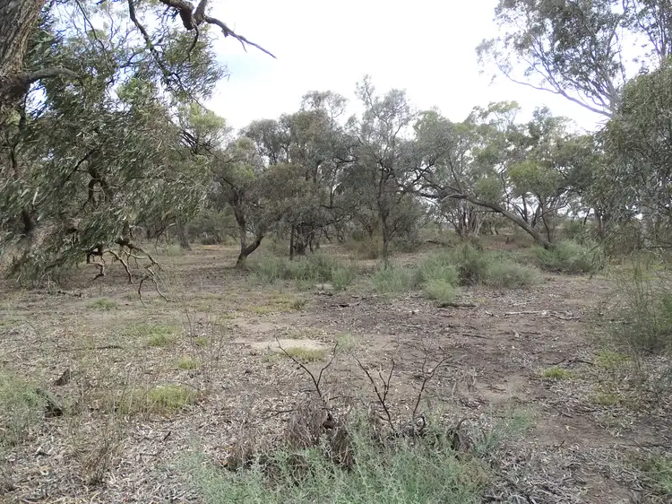Fifth view of Homely house listing, 309 Lower Loddon Rd, Kerang VIC 3579