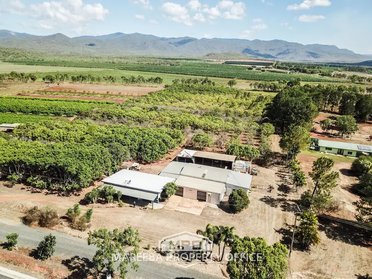 Main view of Homely rural property listing, 3711 Kennedy Highway, Mareeba QLD 4880