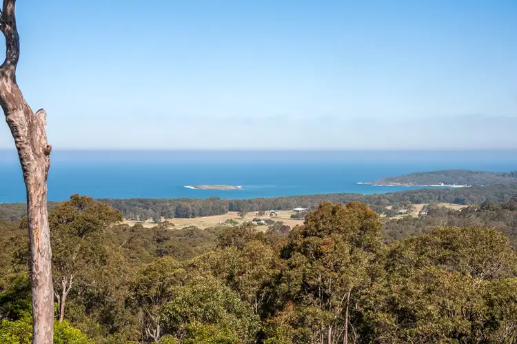 Sixth view of Homely rural property listing, 65a Bundle Hill Road, Bawley Point NSW 2539